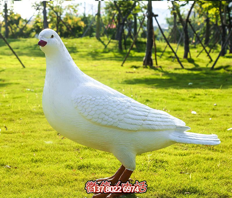 草坪公园仿真动物玻璃钢鸽子雕塑 草坪公园仿真动物玻璃钢鸽子雕塑